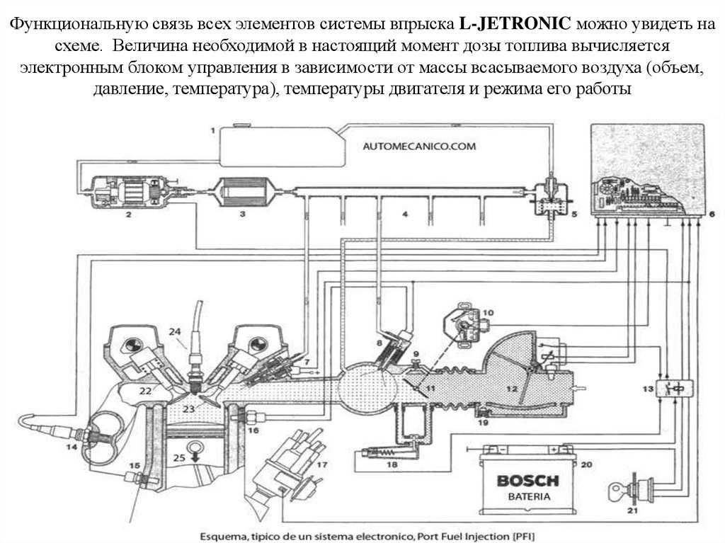 Система впрыска топлива. Электронная система впрыска топлива l-Jetronic. Схема системы впрыска топлива 