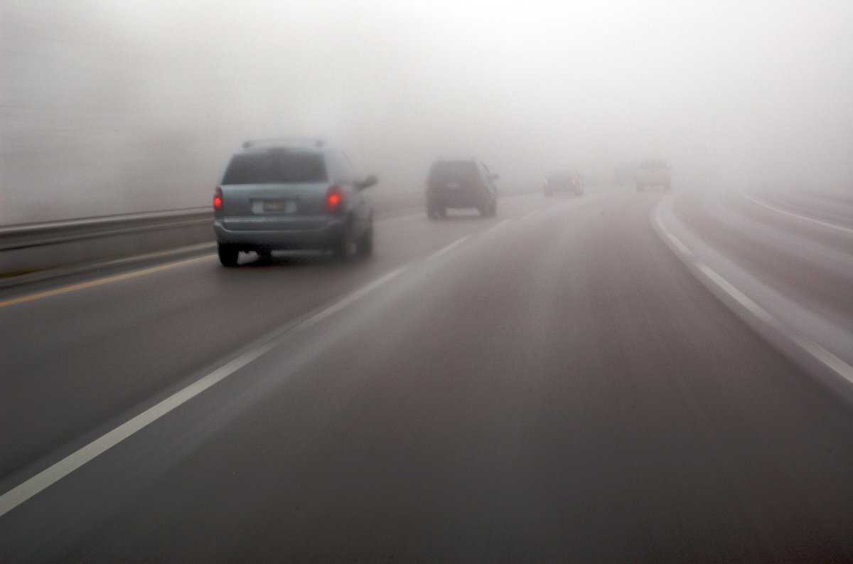 Движение в условиях тумана | движение автомобиля в дождь | avtonauka.ru