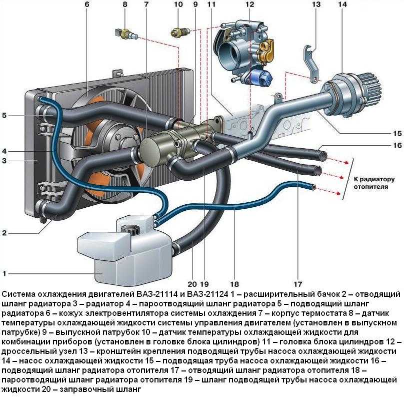 Схема системы охлаждения двигателя lacetti