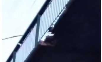На мосту на новый мелитополь образовались сквозные дыры (видео)